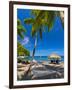 Caribbean, St Lucia, Soufriere, Anse Chastanet, Anse Chastanet Beach-Alan Copson-Framed Photographic Print