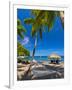 Caribbean, St Lucia, Soufriere, Anse Chastanet, Anse Chastanet Beach-Alan Copson-Framed Photographic Print