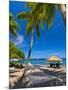 Caribbean, St Lucia, Soufriere, Anse Chastanet, Anse Chastanet Beach-Alan Copson-Mounted Photographic Print