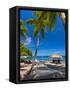Caribbean, St Lucia, Soufriere, Anse Chastanet, Anse Chastanet Beach-Alan Copson-Framed Stretched Canvas