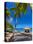 Caribbean, St Lucia, Soufriere, Anse Chastanet, Anse Chastanet Beach-Alan Copson-Stretched Canvas