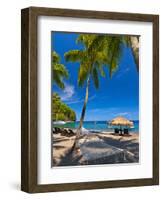 Caribbean, St Lucia, Soufriere, Anse Chastanet, Anse Chastanet Beach-Alan Copson-Framed Photographic Print