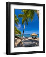 Caribbean, St Lucia, Soufriere, Anse Chastanet, Anse Chastanet Beach-Alan Copson-Framed Photographic Print