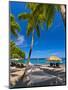 Caribbean, St Lucia, Soufriere, Anse Chastanet, Anse Chastanet Beach-Alan Copson-Mounted Photographic Print