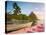 Caribbean, St Lucia, Soufriere Bay, Soufriere Beach and Petit Piton, Traditional Fishing Boats-Alan Copson-Stretched Canvas