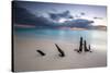 Caribbean sunset frames tree trunks on Ffryers Beach, Antigua and Barbuda, Leeward Islands, West In-ClickAlps-Stretched Canvas