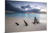 Caribbean sunset frames tree trunks on Ffryers Beach, Antigua and Barbuda, Leeward Islands, West In-ClickAlps-Mounted Photographic Print