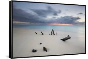 Caribbean Sunset Frames Tree Trunks on Ffryes Beach, Antigua, Antigua and Barbuda-Roberto Moiola-Framed Stretched Canvas