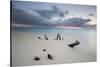 Caribbean Sunset Frames Tree Trunks on Ffryes Beach, Antigua, Antigua and Barbuda-Roberto Moiola-Stretched Canvas