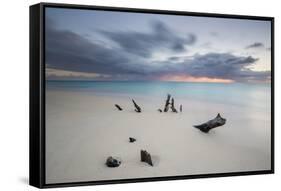 Caribbean Sunset Frames Tree Trunks on Ffryes Beach, Antigua, Antigua and Barbuda-Roberto Moiola-Framed Stretched Canvas