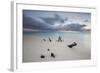 Caribbean Sunset Frames Tree Trunks on Ffryes Beach, Antigua, Antigua and Barbuda-Roberto Moiola-Framed Photographic Print