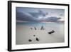 Caribbean Sunset Frames Tree Trunks on Ffryes Beach, Antigua, Antigua and Barbuda-Roberto Moiola-Framed Photographic Print