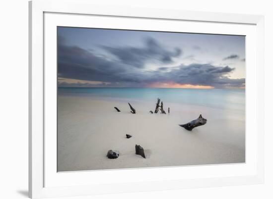 Caribbean Sunset Frames Tree Trunks on Ffryes Beach, Antigua, Antigua and Barbuda-Roberto Moiola-Framed Photographic Print