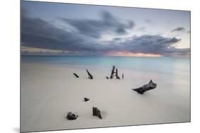 Caribbean Sunset Frames Tree Trunks on Ffryes Beach, Antigua, Antigua and Barbuda-Roberto Moiola-Mounted Photographic Print