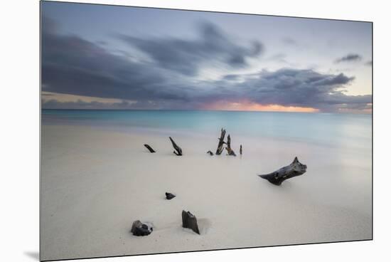 Caribbean Sunset Frames Tree Trunks on Ffryes Beach, Antigua, Antigua and Barbuda-Roberto Moiola-Mounted Premium Photographic Print