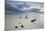 Caribbean Sunset Frames Tree Trunks on Ffryes Beach, Antigua, Antigua and Barbuda-Roberto Moiola-Mounted Premium Photographic Print