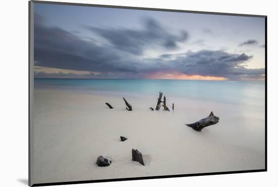 Caribbean Sunset Frames Tree Trunks on Ffryes Beach, Antigua, Antigua and Barbuda-Roberto Moiola-Mounted Photographic Print