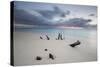 Caribbean Sunset Frames Tree Trunks on Ffryes Beach, Antigua, Antigua and Barbuda-Roberto Moiola-Stretched Canvas