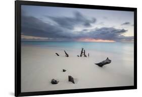 Caribbean Sunset Frames Tree Trunks on Ffryes Beach, Antigua, Antigua and Barbuda-Roberto Moiola-Framed Photographic Print