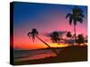 Caribbean Sunset-George Oze-Stretched Canvas