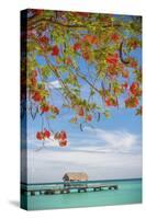 Caribbean, Trinidad and Tobago, Tobago, Pigeon Point-Alan Copson-Stretched Canvas