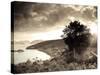 Caribbean, Us Virgin Islands, St; John, Virgin Islands National Park, Trunk Bay-Michele Falzone-Stretched Canvas