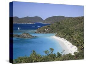 Caribbean, Us Virgin Islands, St; John, Virgin Islands National Park, Trunk Bay-Michele Falzone-Stretched Canvas