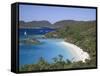 Caribbean, Us Virgin Islands, St; John, Virgin Islands National Park, Trunk Bay-Michele Falzone-Framed Stretched Canvas