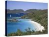 Caribbean, Us Virgin Islands, St; John, Virgin Islands National Park, Trunk Bay-Michele Falzone-Stretched Canvas