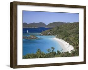 Caribbean, Us Virgin Islands, St; John, Virgin Islands National Park, Trunk Bay-Michele Falzone-Framed Photographic Print