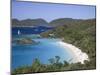 Caribbean, Us Virgin Islands, St; John, Virgin Islands National Park, Trunk Bay-Michele Falzone-Mounted Photographic Print