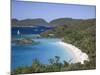 Caribbean, Us Virgin Islands, St; John, Virgin Islands National Park, Trunk Bay-Michele Falzone-Mounted Photographic Print