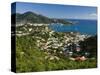 Caribbean, US Virgin Islands, St. Thomas, Charlotte Amalie-Gavin Hellier-Stretched Canvas