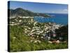 Caribbean, US Virgin Islands, St. Thomas, Charlotte Amalie-Gavin Hellier-Stretched Canvas