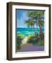 Caribbean View I-Jane Slivka-Framed Art Print