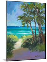 Caribbean View I-Jane Slivka-Mounted Premium Giclee Print