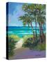 Caribbean View I-Jane Slivka-Stretched Canvas