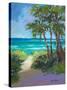 Caribbean View I-Jane Slivka-Stretched Canvas