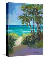 Caribbean View I-Jane Slivka-Stretched Canvas