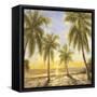 Caribbean Waters-Paulsen-Framed Stretched Canvas