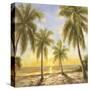 Caribbean Waters-Paulsen-Stretched Canvas