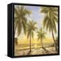 Caribbean Waters-Paulsen-Framed Stretched Canvas