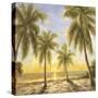 Caribbean Waters-Paulsen-Stretched Canvas