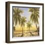 Caribbean Waters-Paulsen-Framed Art Print