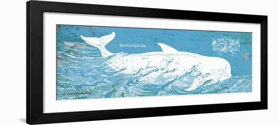 Caribbean Whale I-Gwendolyn Babbitt-Framed Art Print