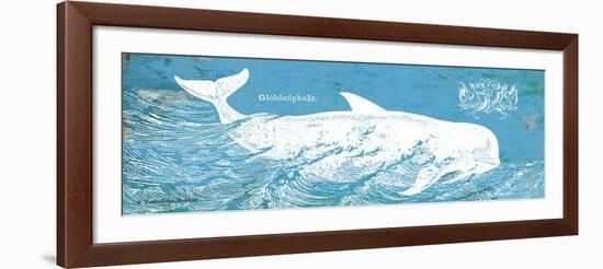 Caribbean Whale I-Gwendolyn Babbitt-Framed Art Print