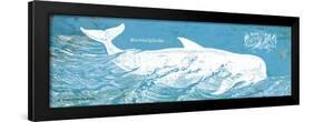 Caribbean Whale I-Gwendolyn Babbitt-Framed Art Print