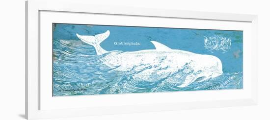 Caribbean Whale I-Gwendolyn Babbitt-Framed Art Print