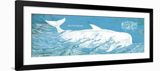 Caribbean Whale I-Gwendolyn Babbitt-Framed Art Print