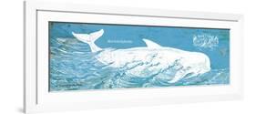 Caribbean Whale I-Gwendolyn Babbitt-Framed Premium Giclee Print